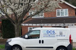 DCS-window-cleaning-750x563